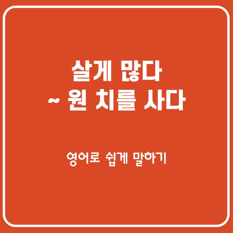 살게 많다, 30만원어치를 샀어요 영어로
