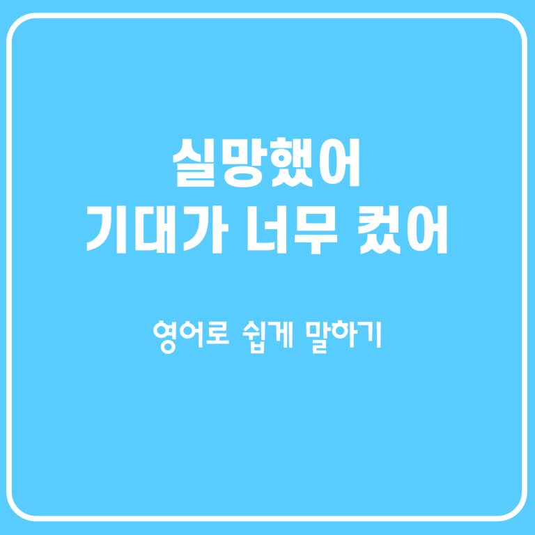 실망했어, 기대가 컸던 것 같아 영어로 말하기