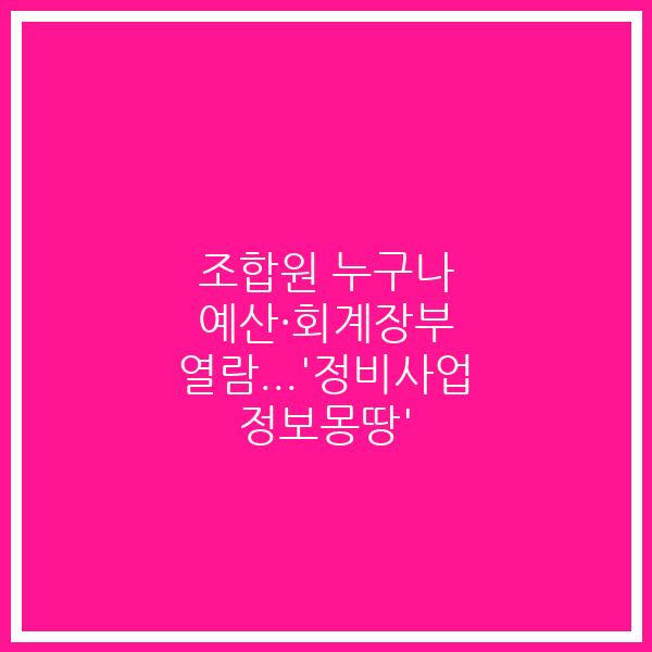 조합원 누구나 예산·회계장부 열람…’정비사업 정보몽땅’