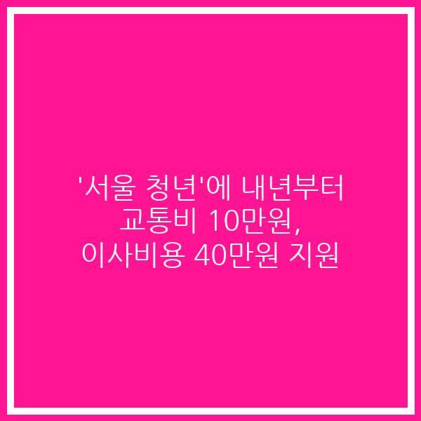‘서울 청년’에 내년부터 교통비 10만원, 이사비용 40만원 지원