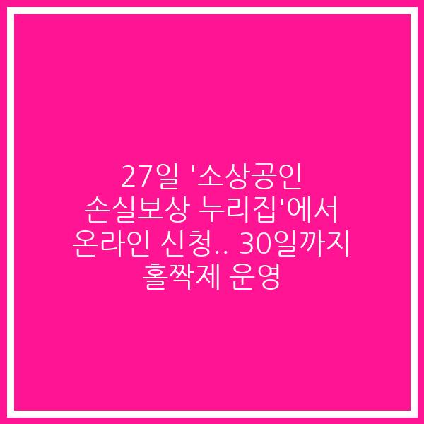 27일 ‘소상공인 손실보상 누리집’에서 온라인 신청.. 30일까지 홀짝제 운영