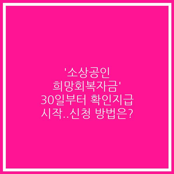 ‘소상공인 희망회복자금’ 30일부터 확인지급 시작..신청 방법은?