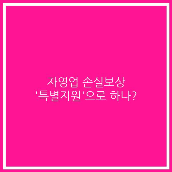 자영업 손실보상 ‘특별지원’으로 하나?