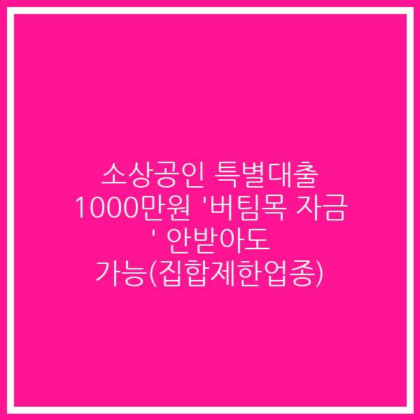 소상공인 특별대출 1000만원 ‘버팀목 자금 ‘ 안받아도 가능(집합제한업종)