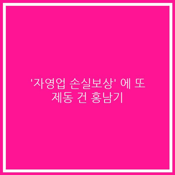 ‘자영업 손실보상’ 에 또 제동 건 홍남기