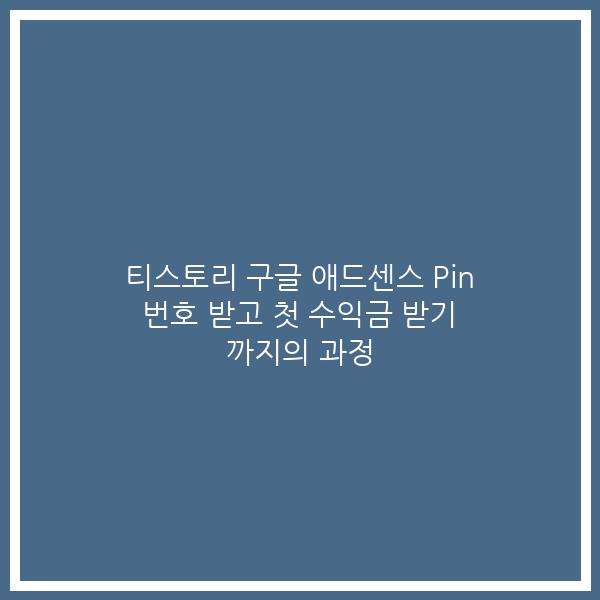 티스토리 구글 애드센스 Pin 번호 받고 첫 수익금 받기 까지의 과정