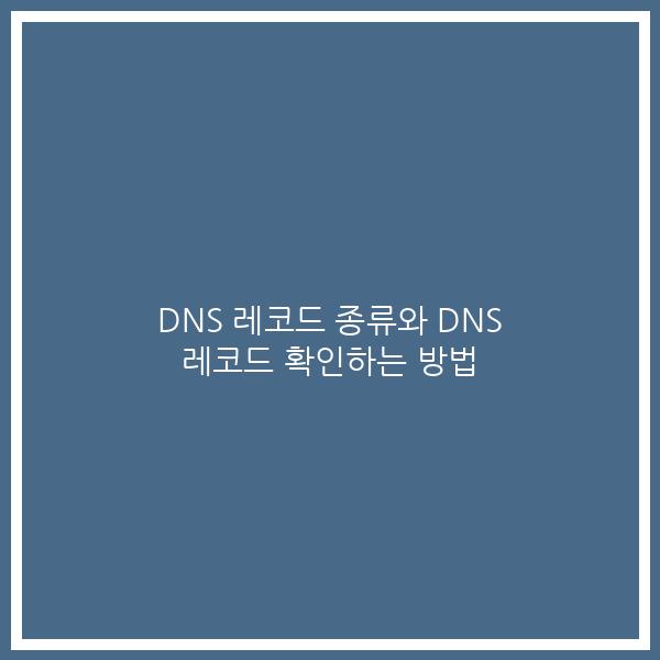 DNS 레코드 종류와 DNS 레코드 확인하는 방법