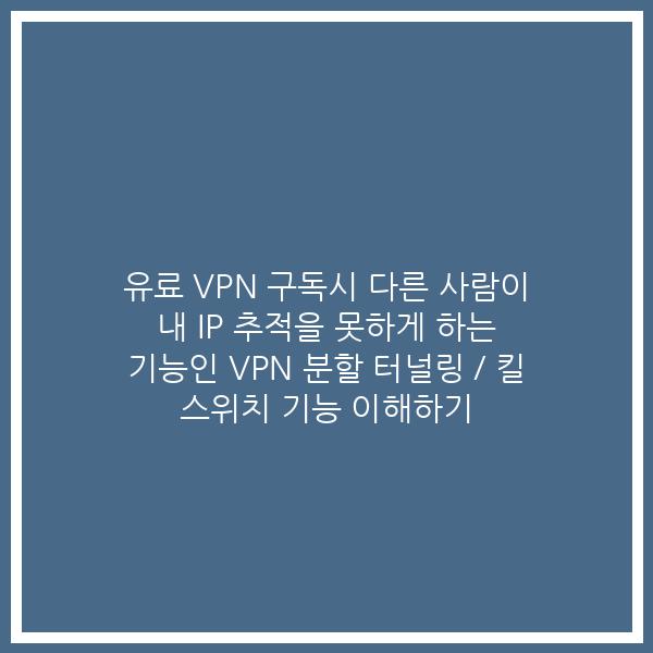 유료 VPN 구독시 다른 사람이 내 IP 추적을 못하게 하는 기능인 VPN 분할 터널링 / 킬 스위치 기능 이해하기