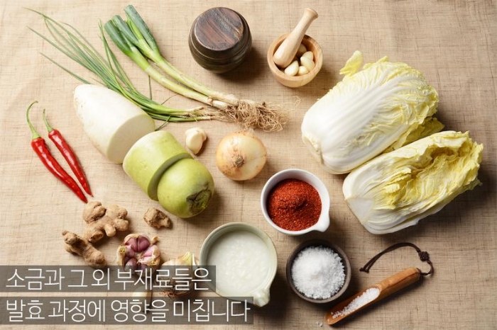 [미국영어] 김치 레시피, 영어로: Kimchi Recipe