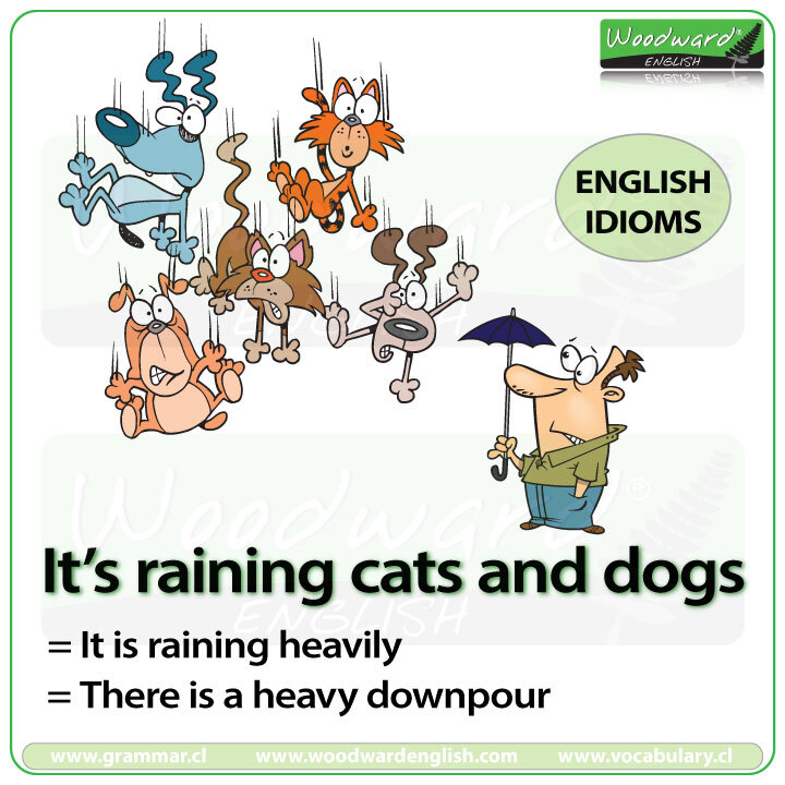 [미국영어] 비 이디엄, Idiom with Rain or Rainy
