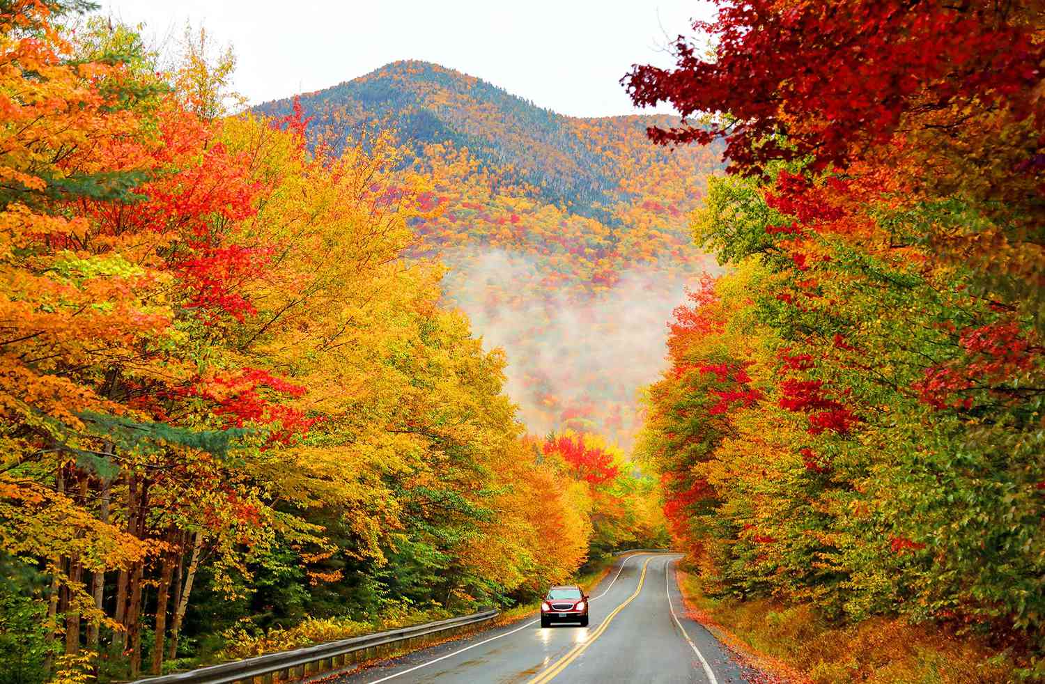 [영어] 영어표현: 가을 단풍 관련 이디엄, Idiom with Fall Foliage