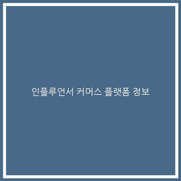 인플루언서 커머스 플랫폼 정보