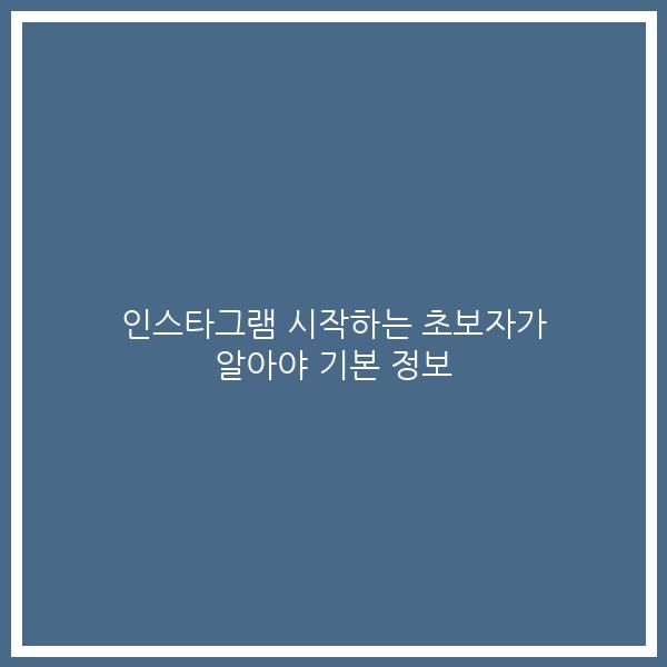 인스타그램 시작하는 초보자가 알아야 기본 정보