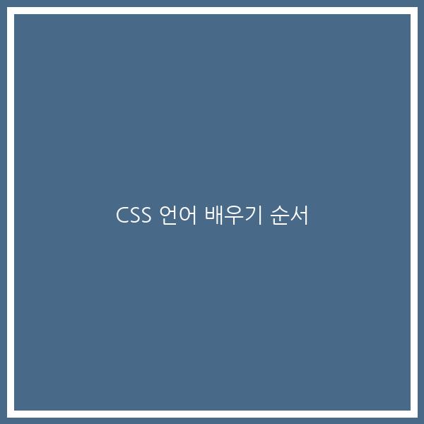 CSS 언어 배우기 순서
