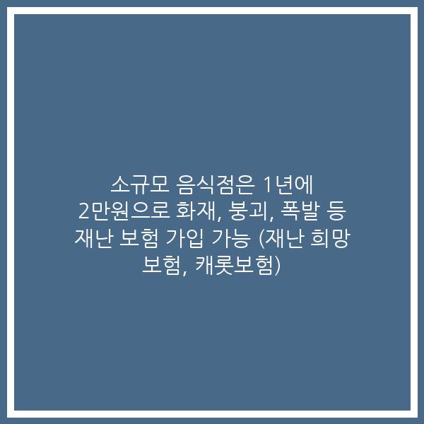 소규모 음식점은 1년에 2만원으로 화재, 붕괴, 폭발 등 재난 보험 가입 가능 (재난 희망 보험, 캐롯보험)