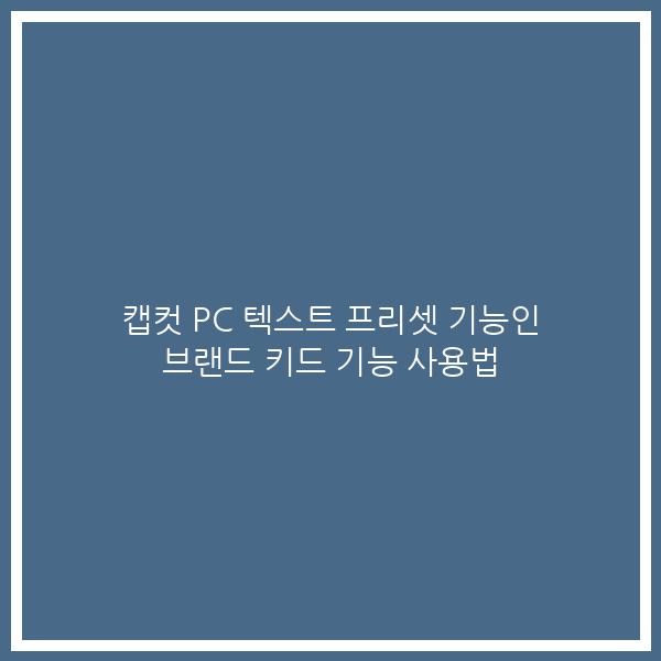 캡컷 PC 텍스트 프리셋 기능인 브랜드 키드 기능 사용법