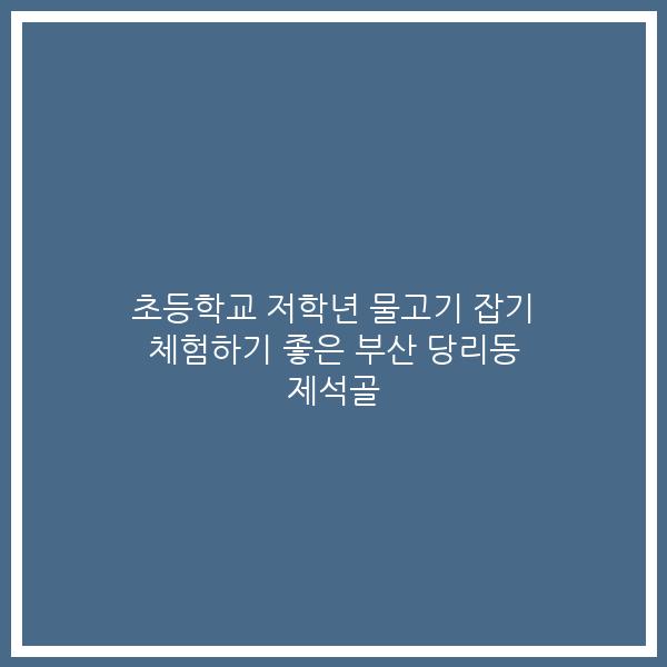 초등학교 저학년 물고기 잡기 체험하기 좋은 부산 당리동 제석골 초등학교 저학년 물고기 잡기 체험하기 좋은 부산 당리동 제석골