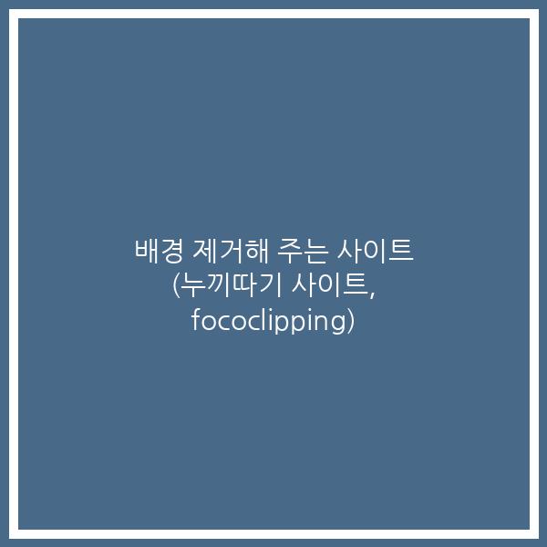 배경 제거해 주는 사이트 (누끼따기 사이트, fococlipping)