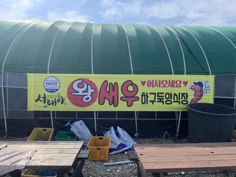 [서천 맛집] 왕새우 하구둑양식장🦐