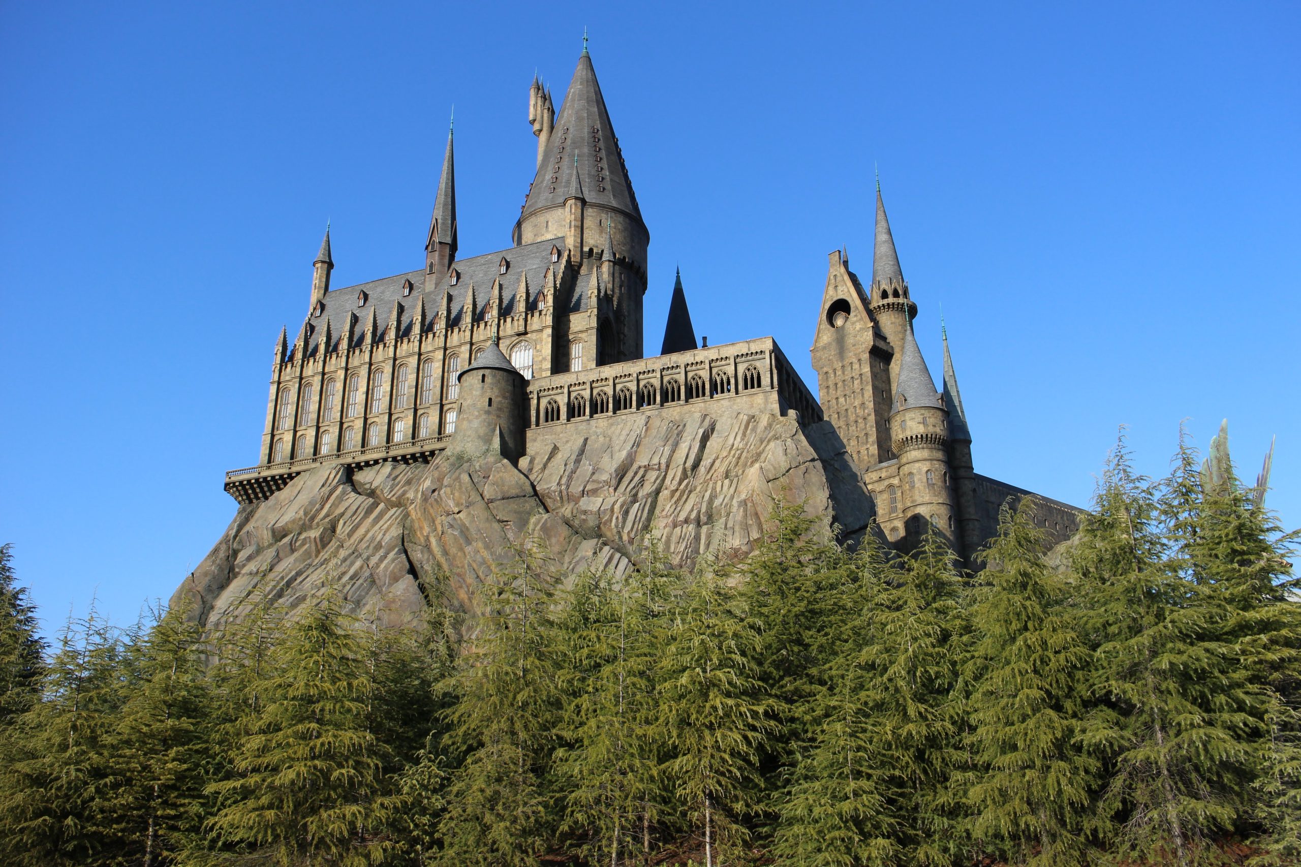 애플 카드 파트너십이 될 기업은? 애플 카드 파트너십이 될 기업은?