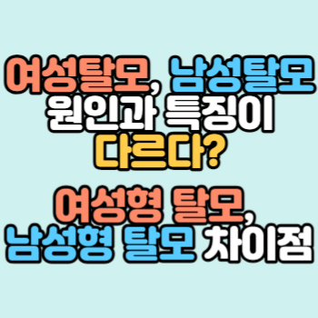 여성탈모, 남성탈모 원인과 특징이 다르다? 여성형 탈모, 남성형 탈모 차이점