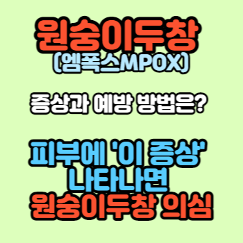 원숭이두창, 엠폭스(MPOX)증상과 예방 방법은? 피부에 ‘이 증상’ 나타나면 원숭이두창 의심