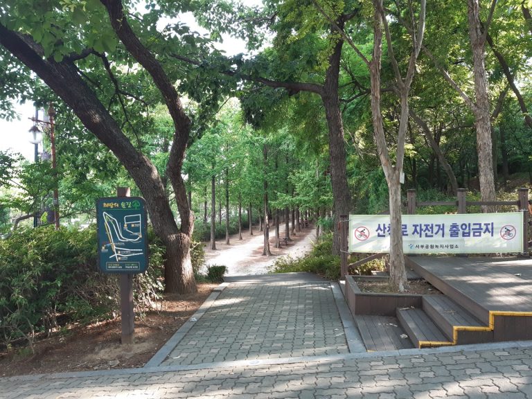 2.2km 연초록빛 향연! 월드컵공원 메타세쿼이아길