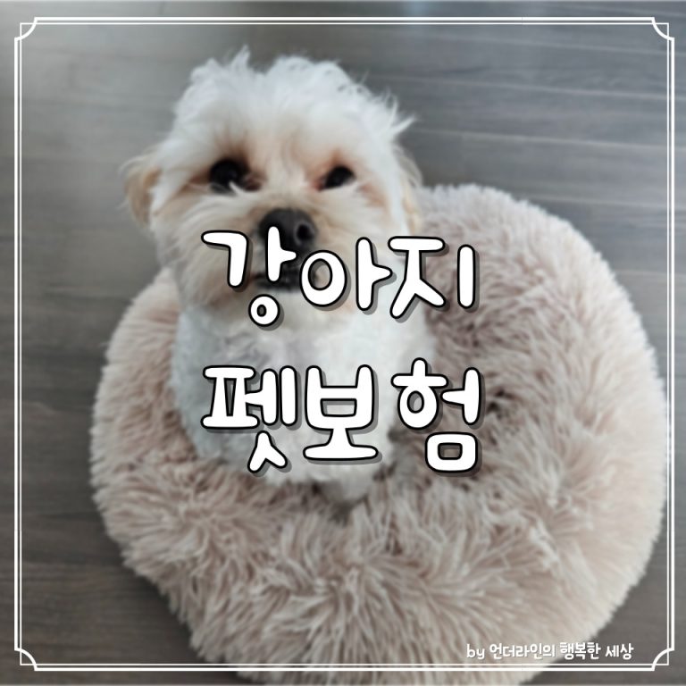 저렴한 강아지 펫보험 보험료 비교 가입 후기 (ft. 세계 펫보험 가입률)