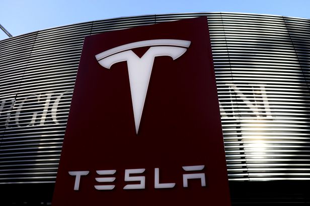 테슬라(Tesla), 시장 점유율 하락으로 주식 하락세 지속