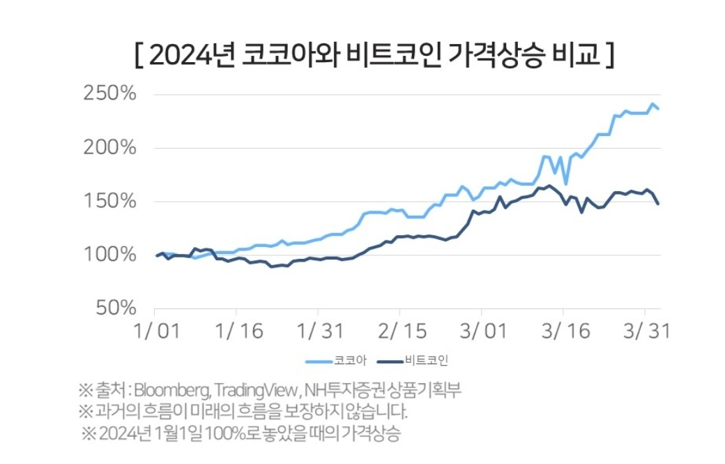 올해만 벌써 2배 상승한 코코아, 급등의 원인과 투자 유의 사항