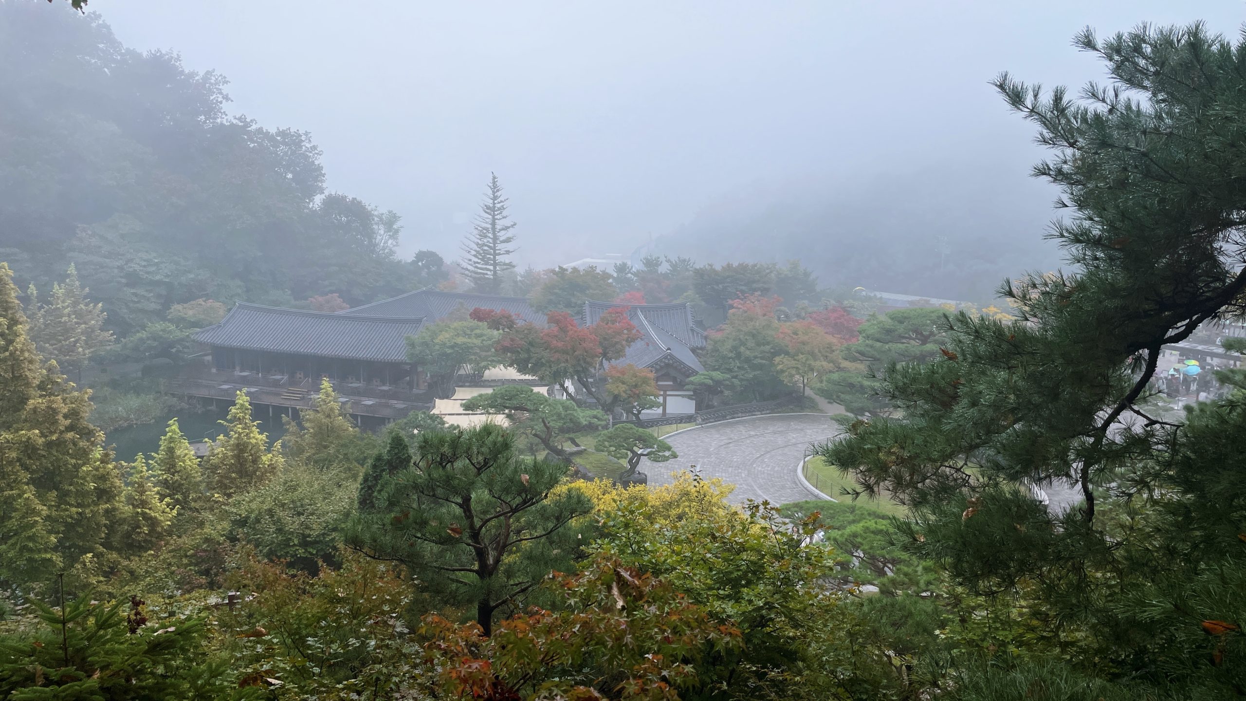 [광주] 화담숲 : 아름다운 생태수목원이자 가을단풍명소