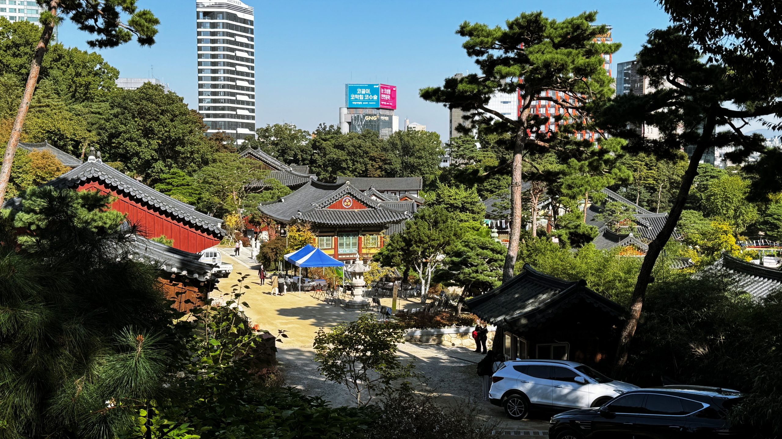 [서울] 도심 속 천년고찰 봉은사의 가을