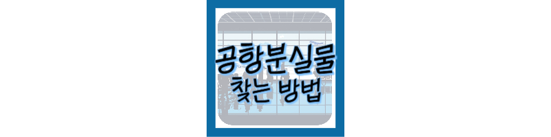 공항에서 물건 잃어버렸을 때 해결 방법 (공항분실물 찾기)