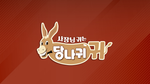 당나귀귀 제주도 ‘한중일 맥주 축제’ 촬영지 장소 위치 어디? 정호영 정지선 송훈 셰프