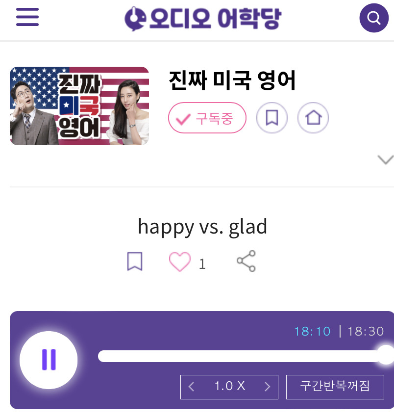 23.06.12.월 happy vs. glad 진짜 미국 영어 one big happy family 1 ywAAAAAAQABAAACAUwAOw==