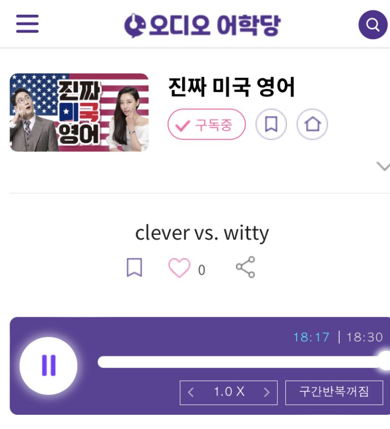 23.05.30.화 clever vs. witty 진짜 미국 영어 cleverness vs. wit