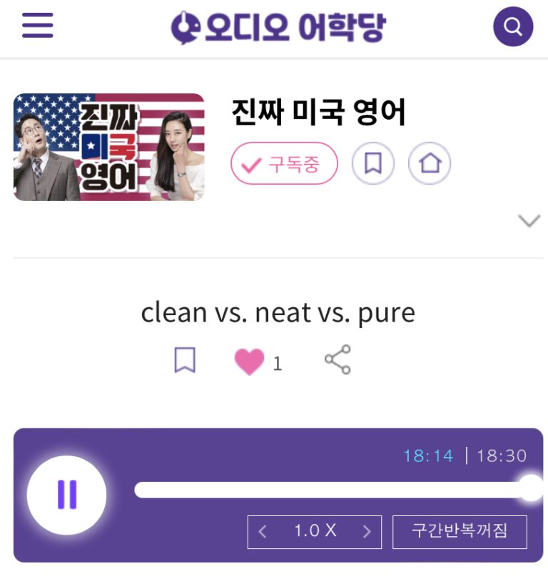 23.05.12.금 clean vs. neat vs. pure 진짜 미국 영어 neatfreak