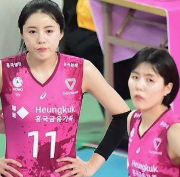 일본 리그 복귀와 히메지 계약