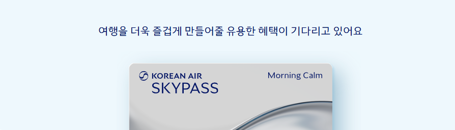 대한항공 스카이패스 등급별 혜택 총정리