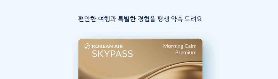 대한항공 스카이패스 등급별 혜택 총정리