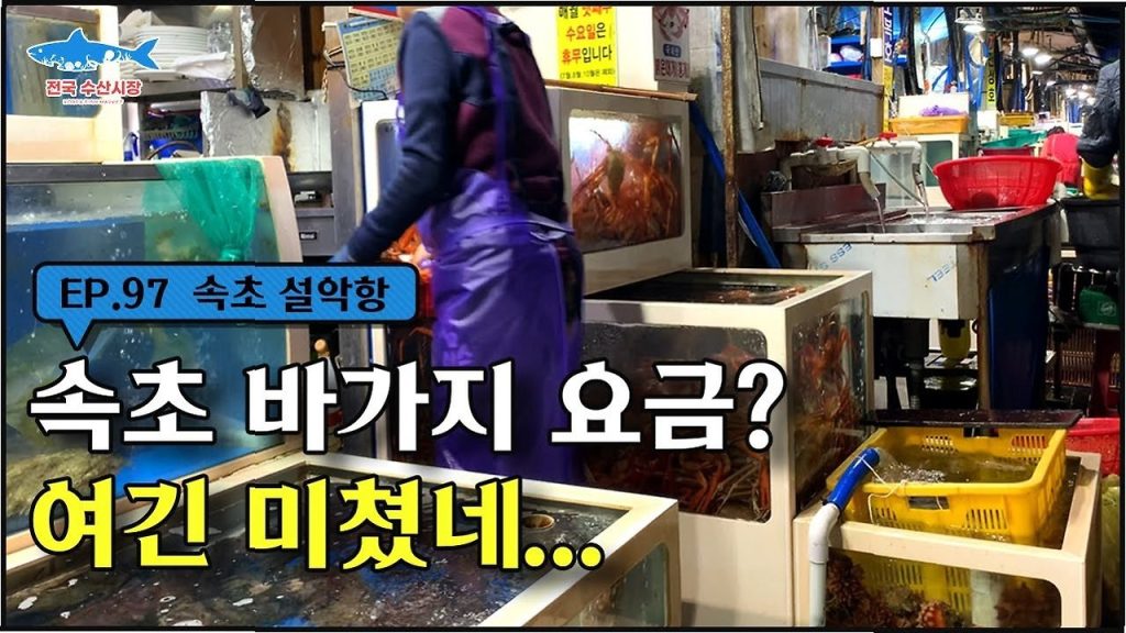 속초 오징어 난전, 바가지 요금 논란의 재발과 신뢰 회복의 길