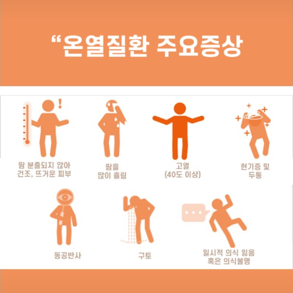 도시열섬현상이란? 여름을 뜨겁게 만드는 도시의 숨겨진 온도