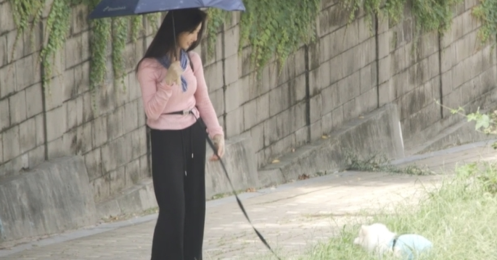 배우 이세희 전참시 재출연! 프로필부터 숨겨진 매력까지