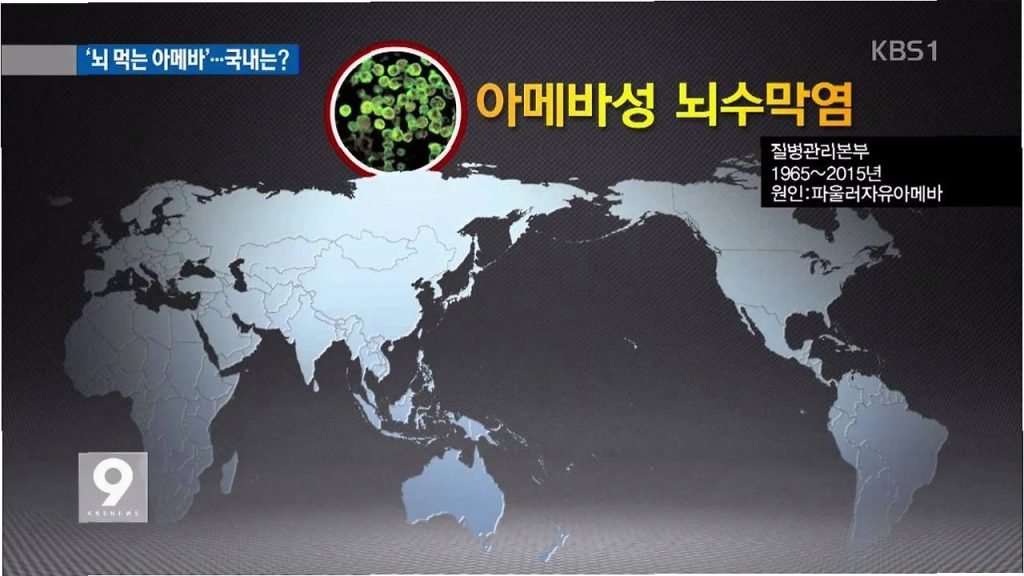 뇌 파먹는 아메바 케랄라의 공포 소름듣는 진짜 사실!?