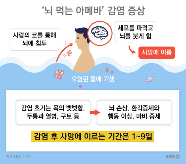 뇌 파먹는 아메바 케랄라의 공포 소름듣는 진짜 사실!? 뇌 파먹는 아메바 케랄라의 공포 소름듣는 진짜 사실!?