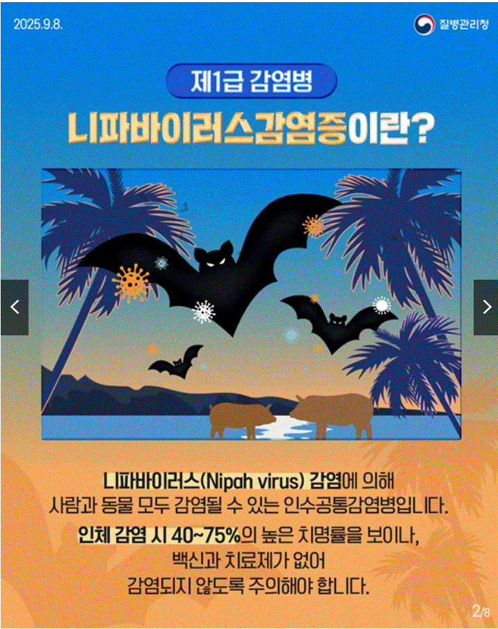 니파바이러스(Nipah Virus) 국내 유입 가능성과 대응 전략
