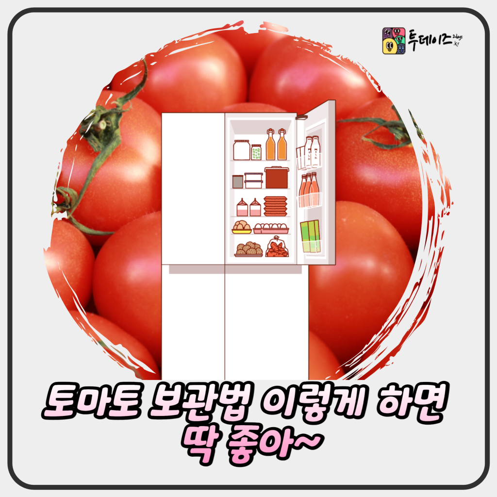 토마토 보관법 이렇게 하면 딱 좋아~ 방법 쉽게 정리 해드려요 토마토 보관법 이렇게 하면 딱 좋아~ 방법 쉽게 정리 해드려요