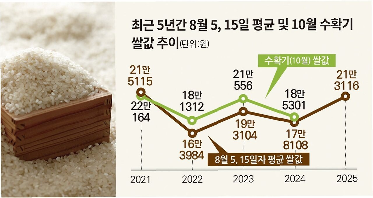 쌀값 상승 원인 정리 유통비용 50% 급증, 단계별 비용 해부