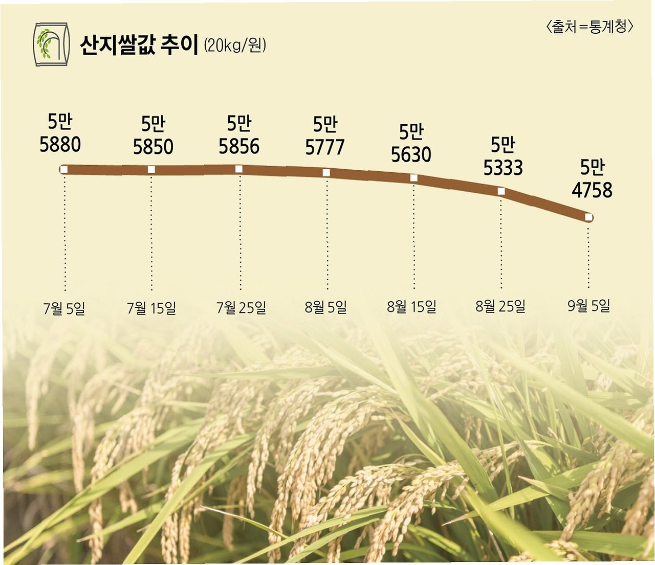 쌀값 상승 원인 정리: 유통비용 50% 급증, 단계별 비용 해부