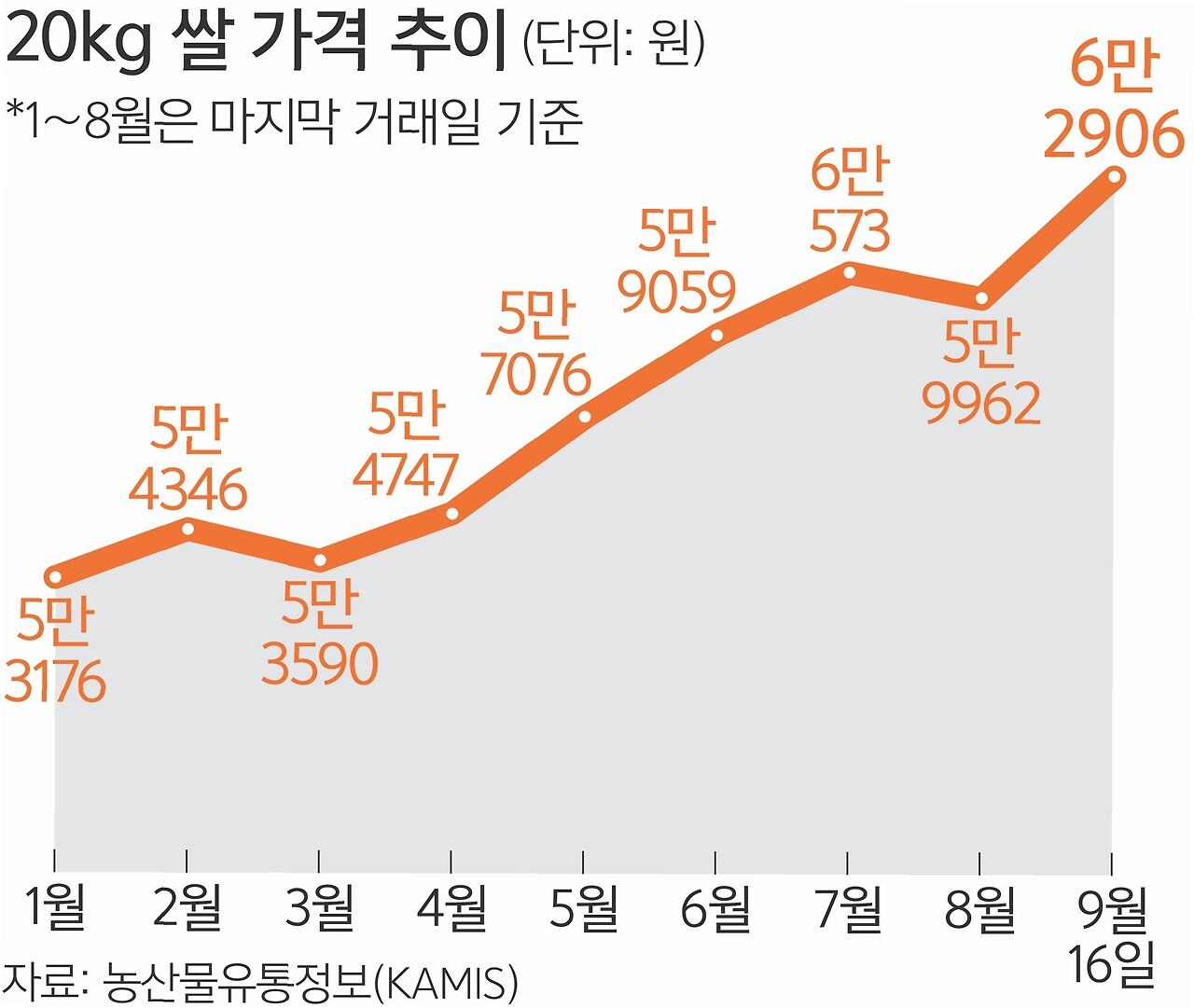 쌀값 상승 원인 정리 유통비용 50% 급증, 단계별 비용 해부 쌀값 상승 원인 정리 유통비용 50% 급증, 단계별 비용 해부
